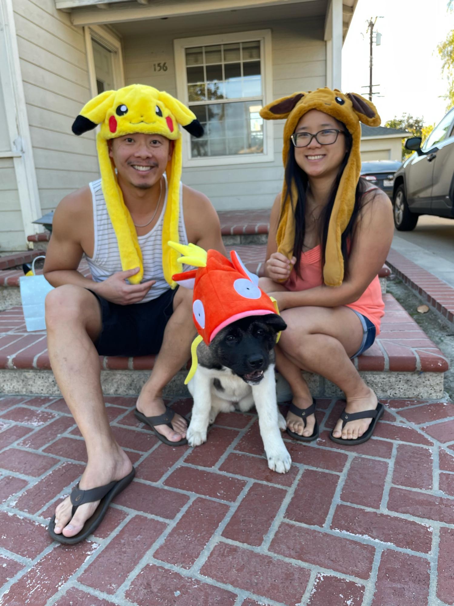 Pokémon!