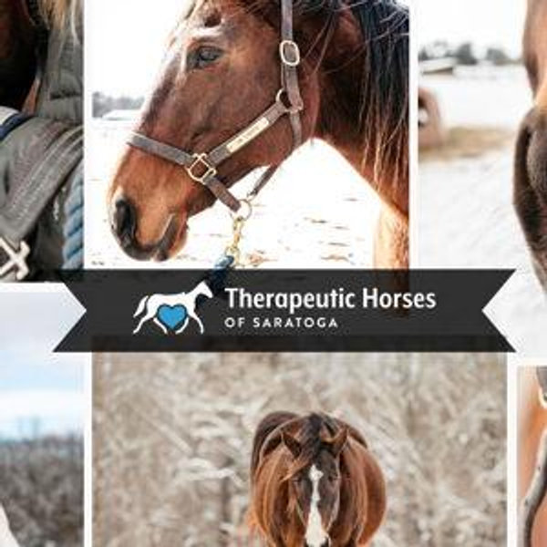 Therapeutic Horses of Saratoga