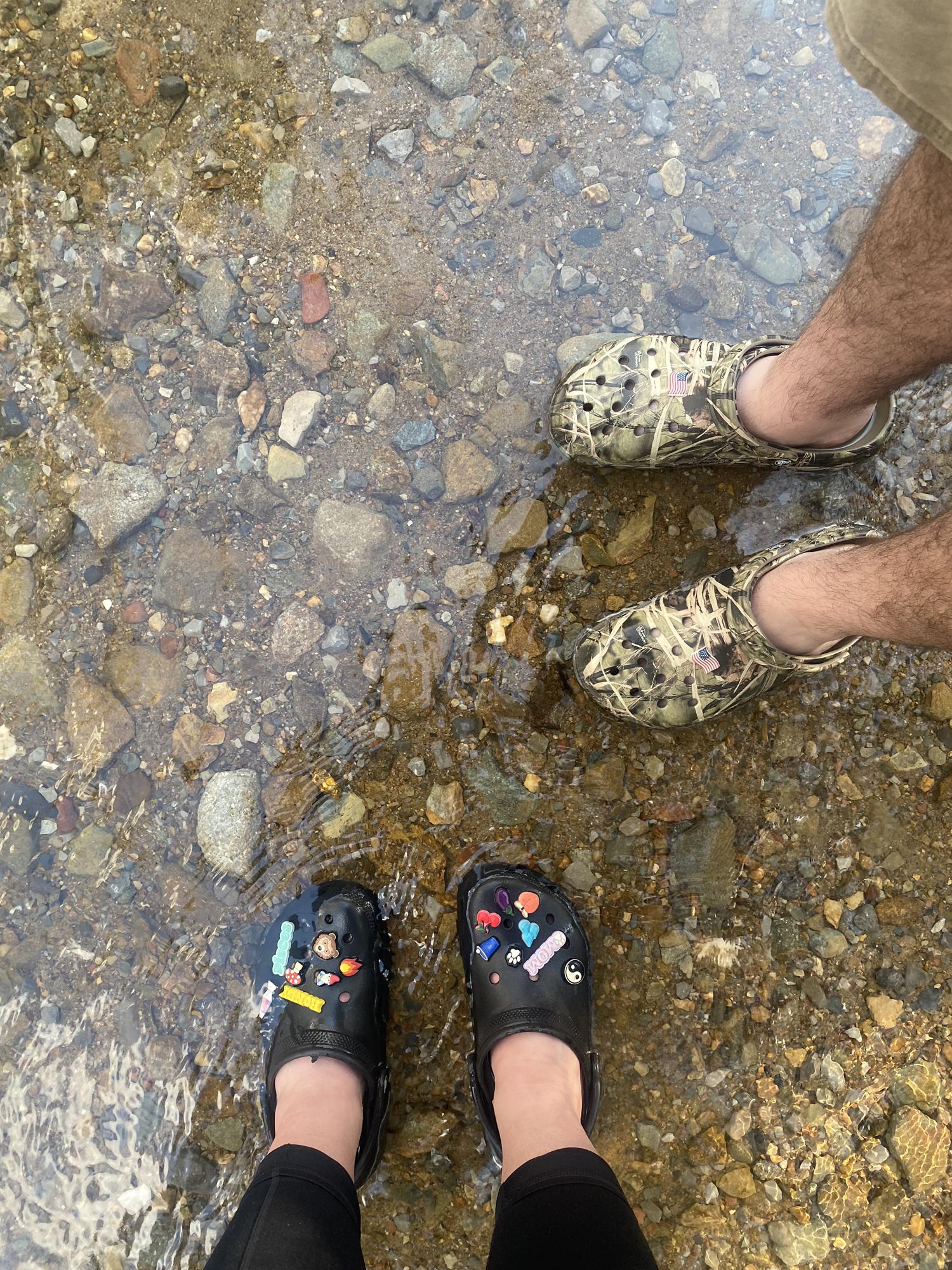 Crocs in TN 🤪