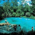 Wekiva Springs