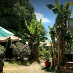 Food - El Restaurante Ixtapa