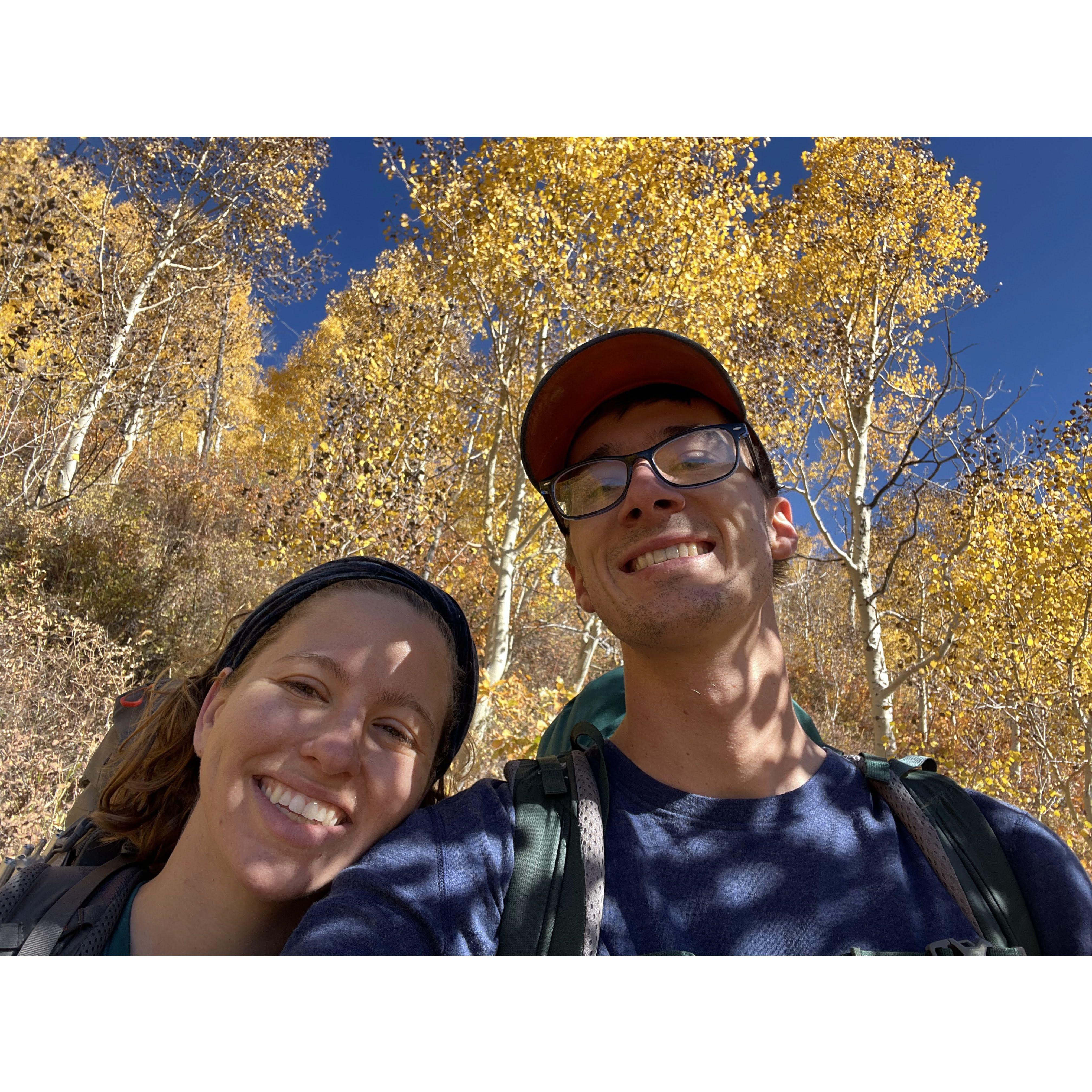 First fall in Utah. Aspen colors only lasted about a week but they were vibrant for that short time before the snow knocked them down.