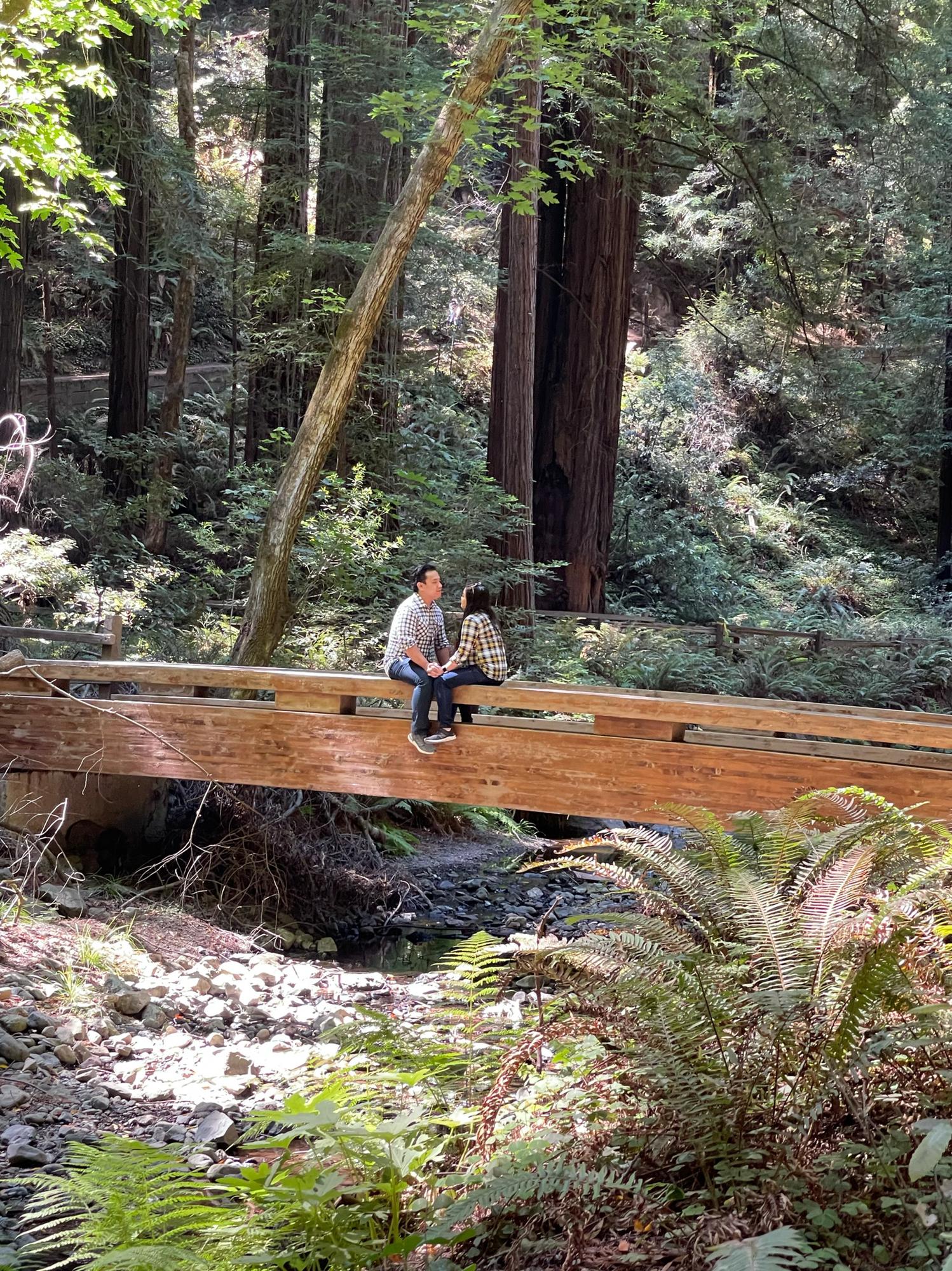 Muirwood