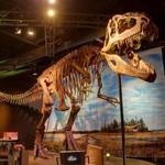 Perot Museum of Nature and Science