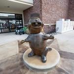 Buc-ee's