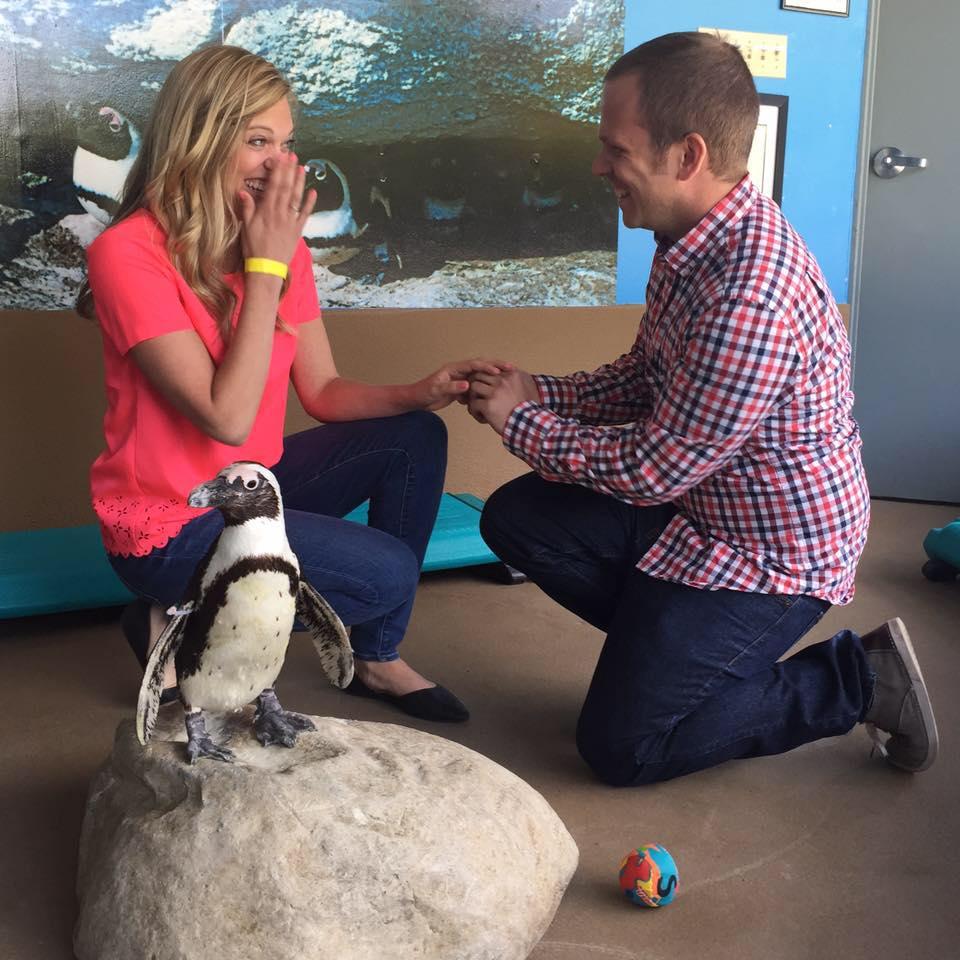 The "Proposal" :)
