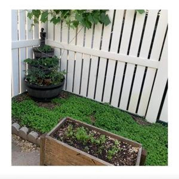 Our garden fund