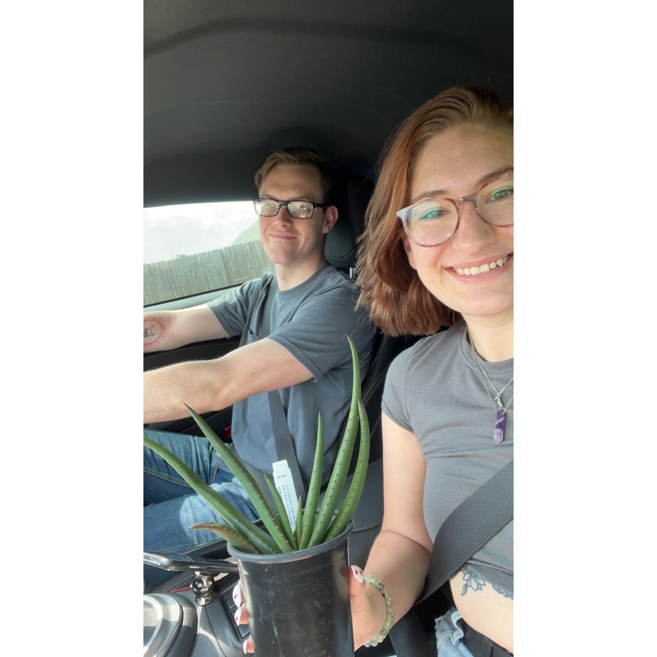 The very beginning of Alicia's plant obsession. John didn't know what we were getting into.