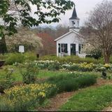 Old City Cemetery