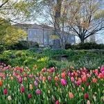 Cheekwood Estate & Gardens