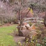 Sayen House and Gardens