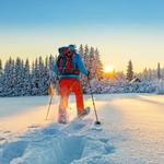 Snowshoeing