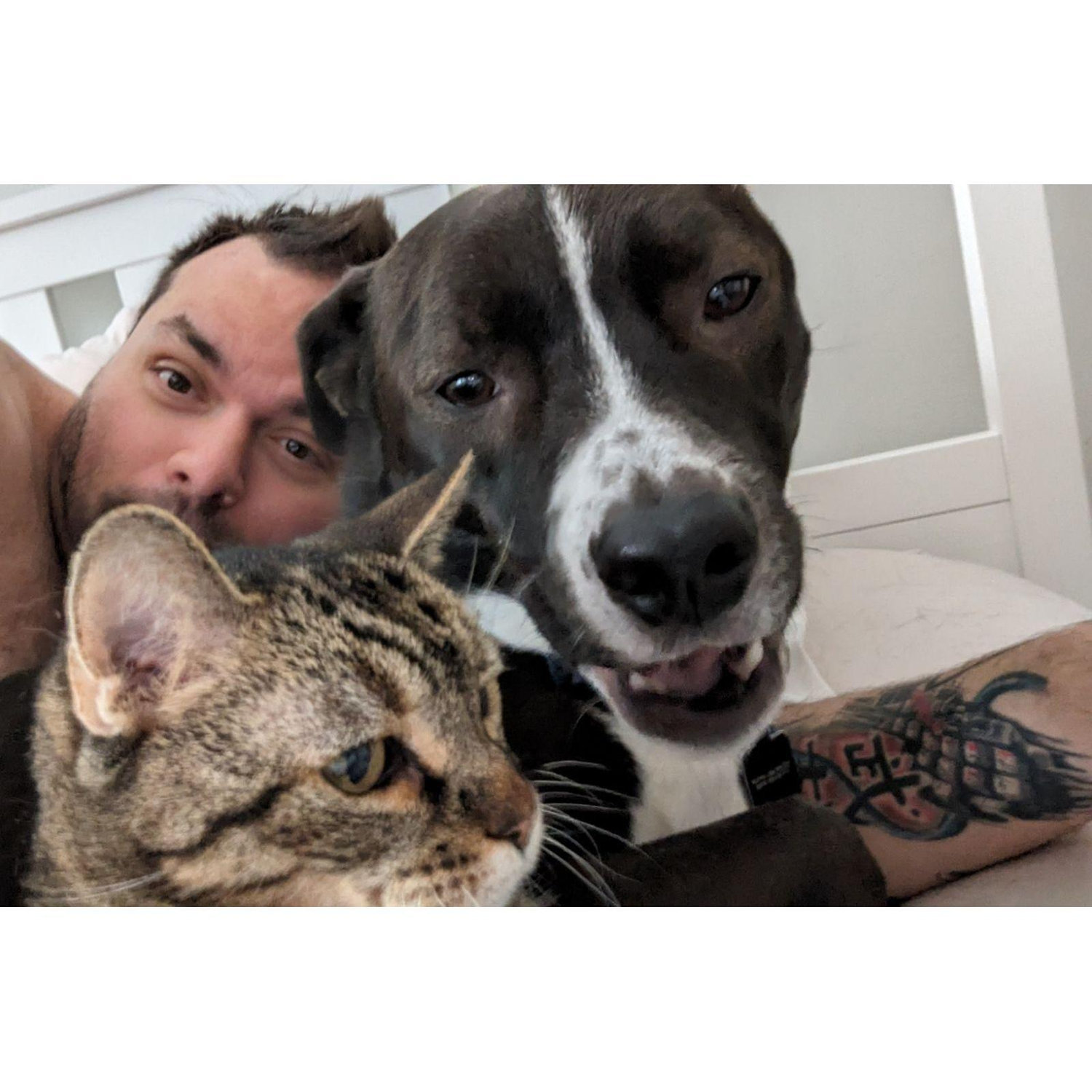 His love of animals is incredible