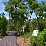 Key West Tropical Forest & Botanical Garden