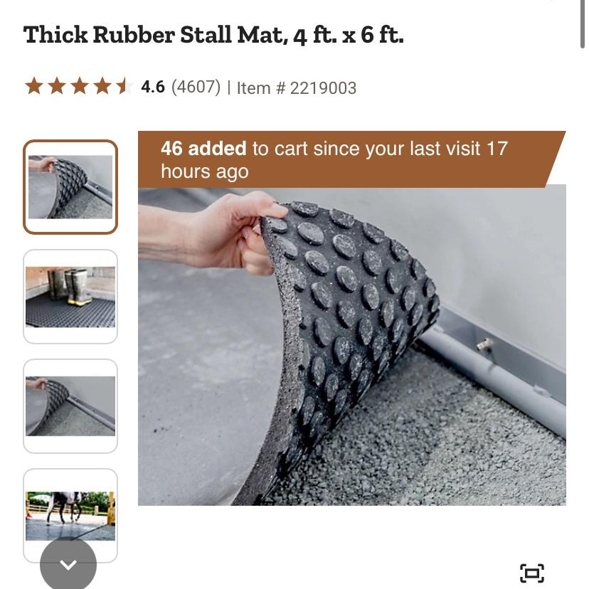Thick Rubber Stall Mat, 4 ft. x 6 ft. at Tractor Supply Co