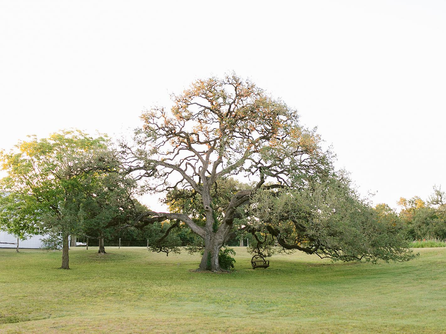 The Wedding Website of Bonnie Reay and Frank Knott