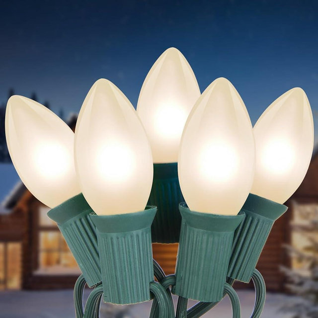 Pallerina 25ft Warm White Christmas Lights Outdoor,Frosted White Christmas Lights with 26 Incandescent Bulbs(1 Spare)