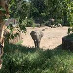 Omaha's Henry Doorly Zoo and Aquarium