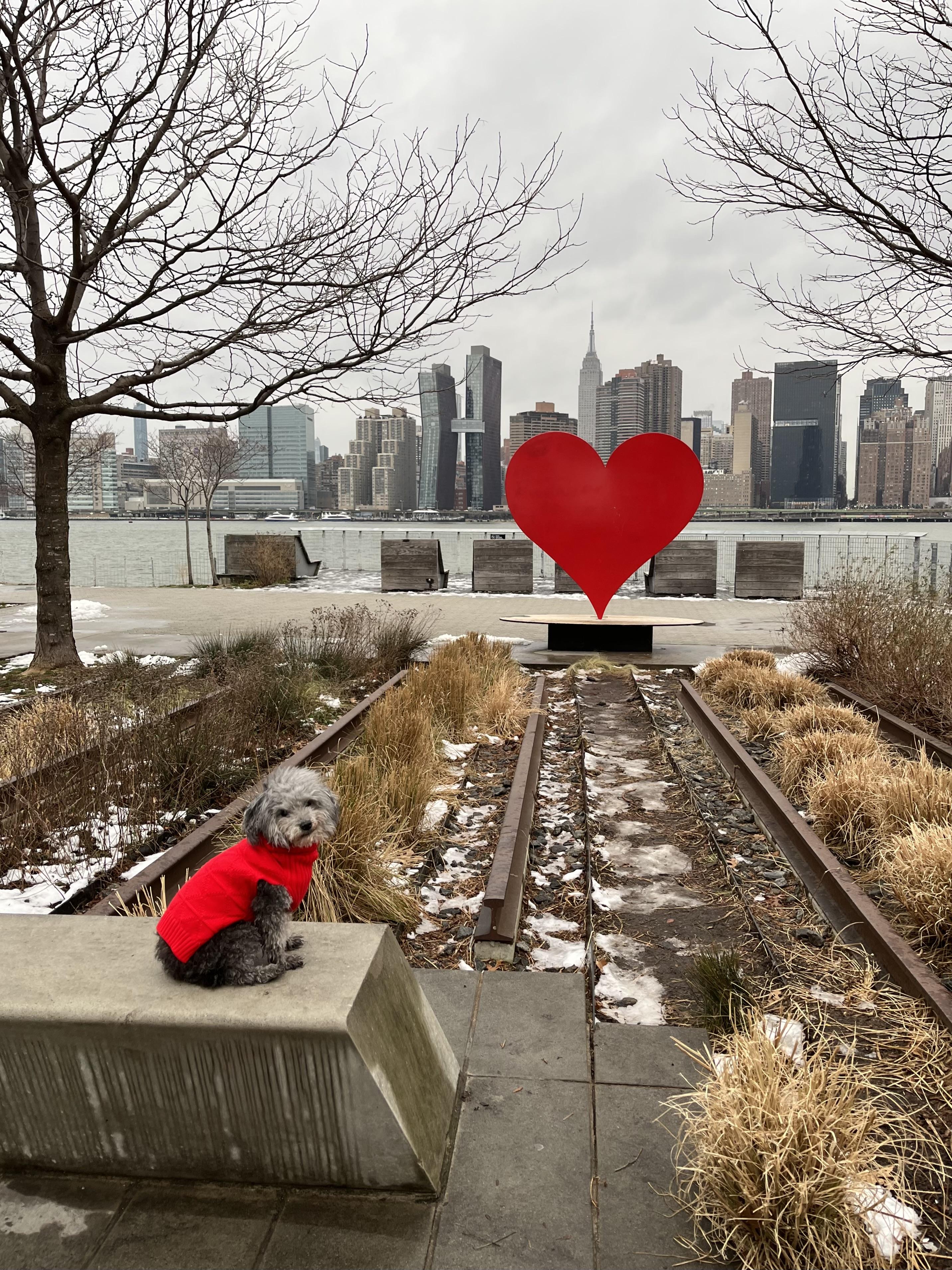 The Wedding Website of Matthew Nicholas and Dominique Correa