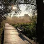 Majors Park