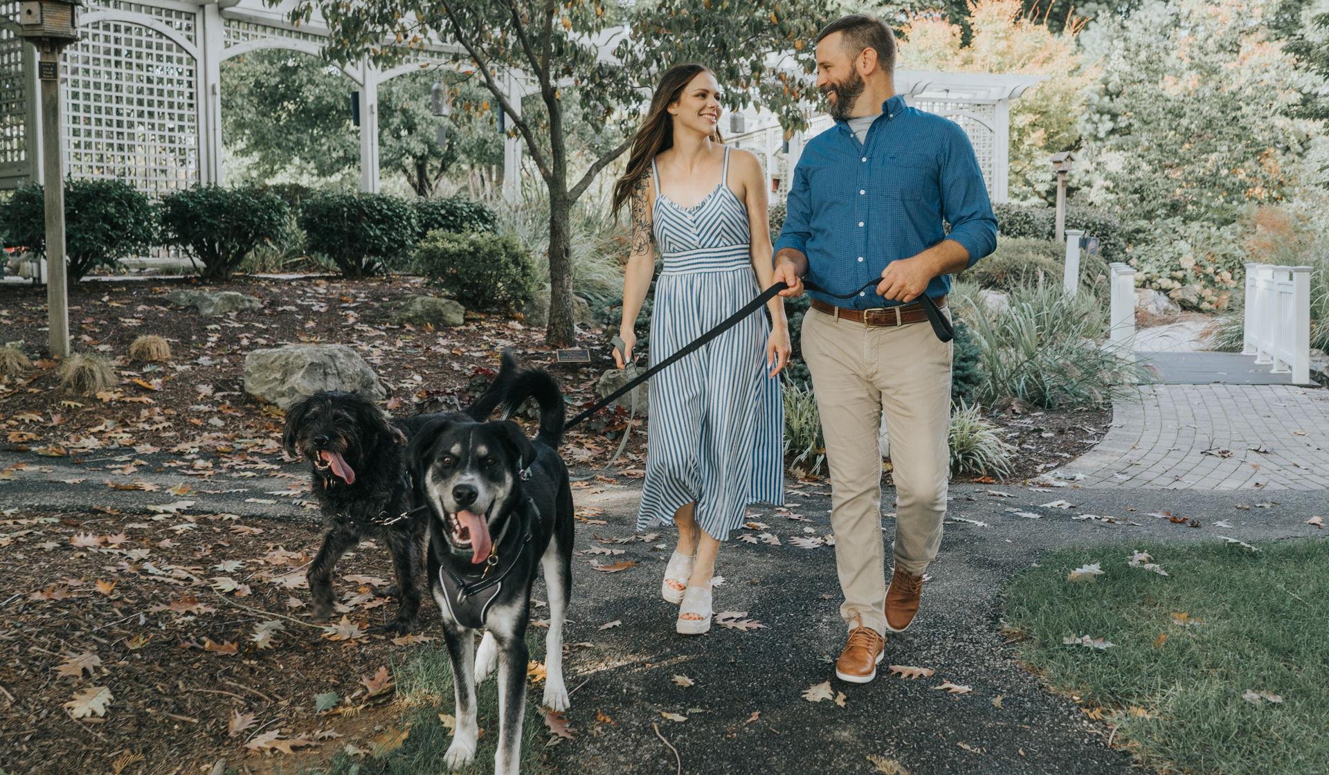 Hero Slideshow Image 4