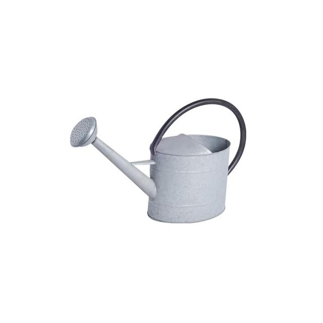 Tierra Garden 2.1-gal Oval Aged Zinc Watering Can