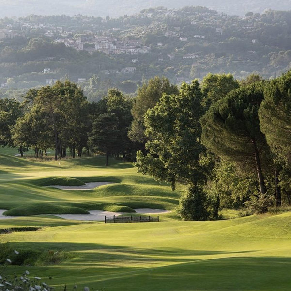 Round of Golf on our Honeymoon at Terre Blanche!