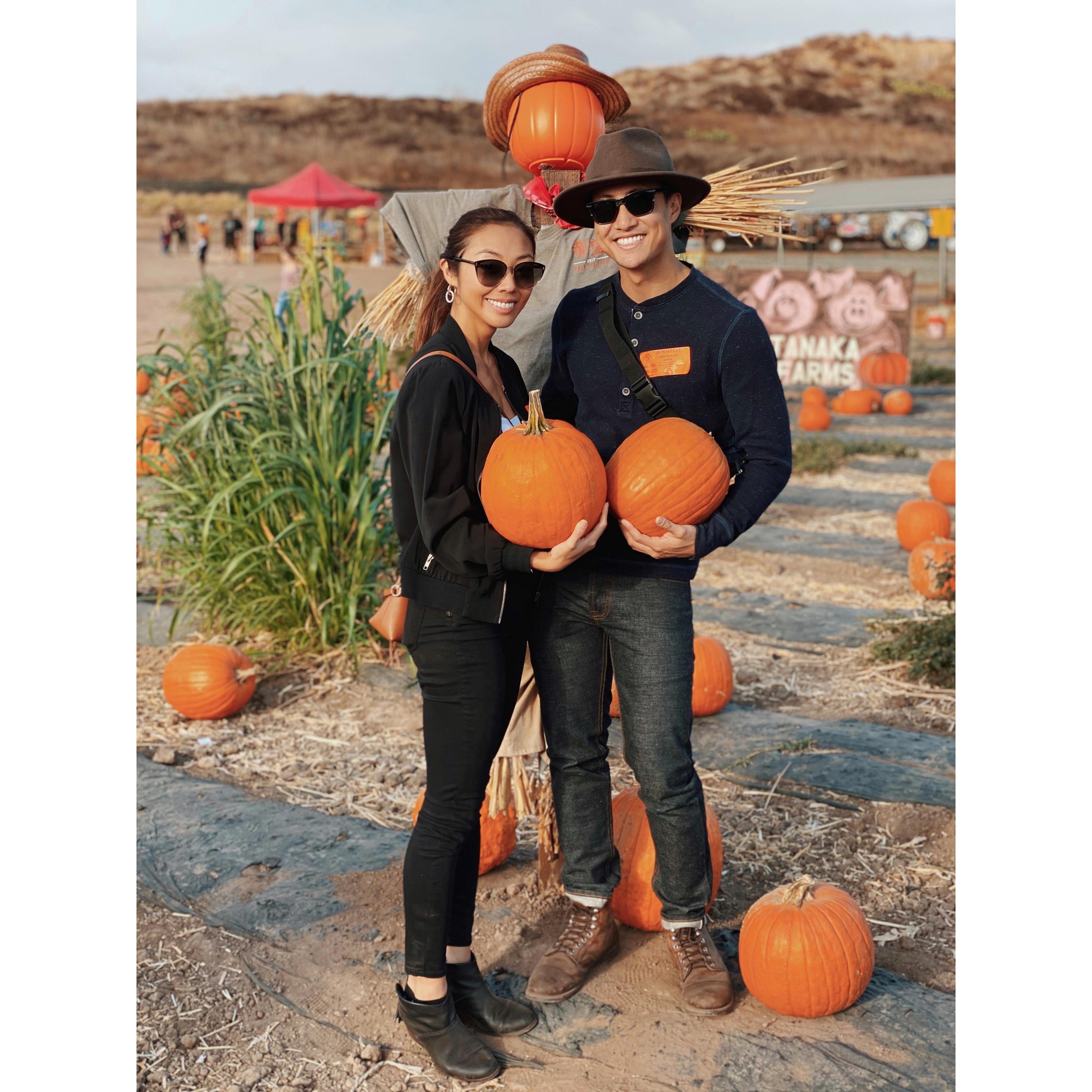 Tanaka Farms