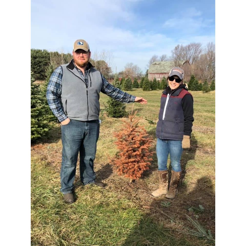 Christmas 2020 need we say more . . .