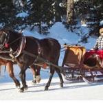Mountain Creek Riding Stables