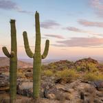 South Mountain