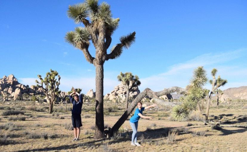 First time at Joshua tree, be the tree...