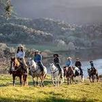 Horseshoe Creek Riding Stables