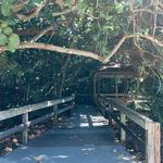 South Beach Park