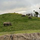 San Diego Zoo