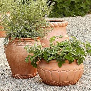 Umbria Planter Bowl