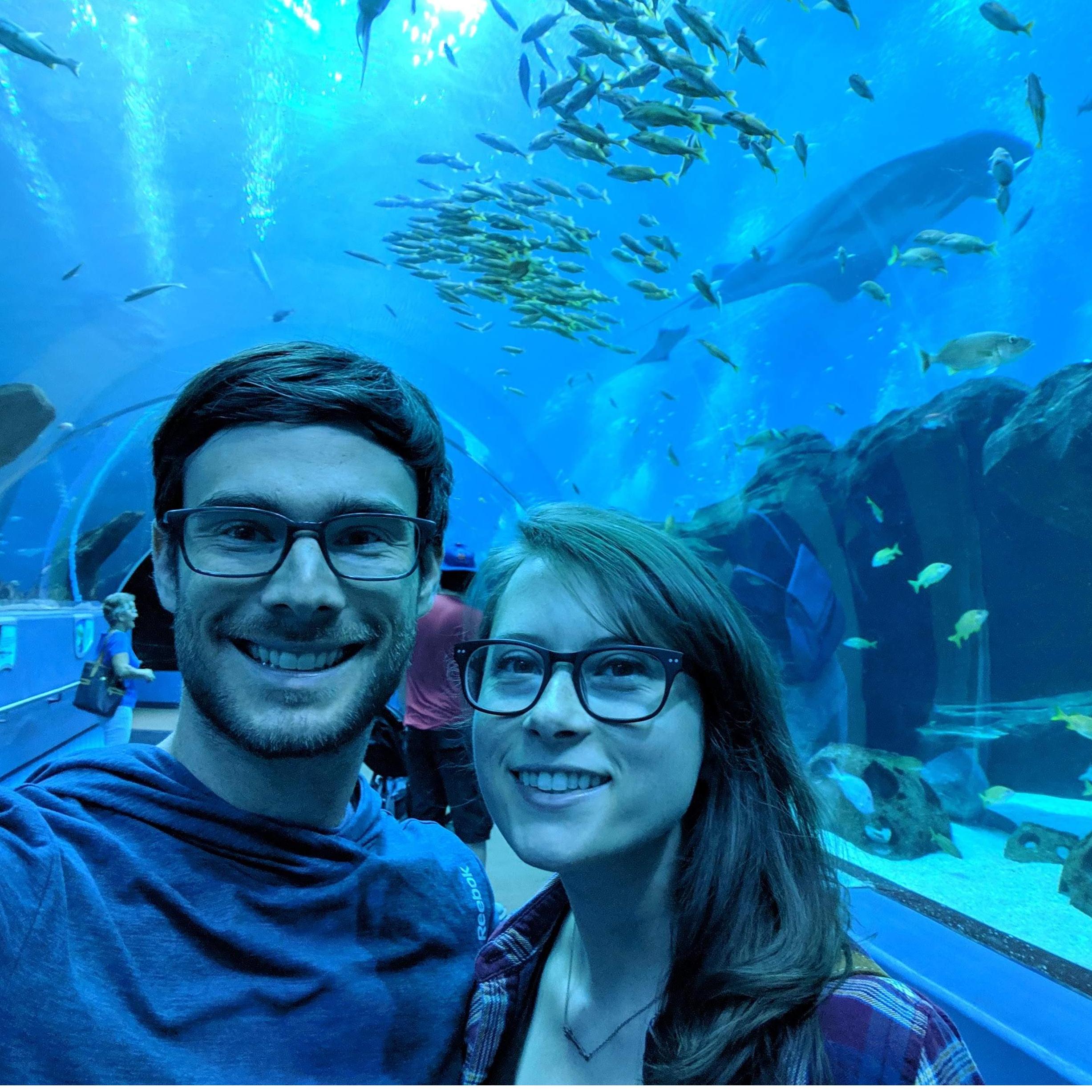 The one where we went to The Atlanta Aquarium