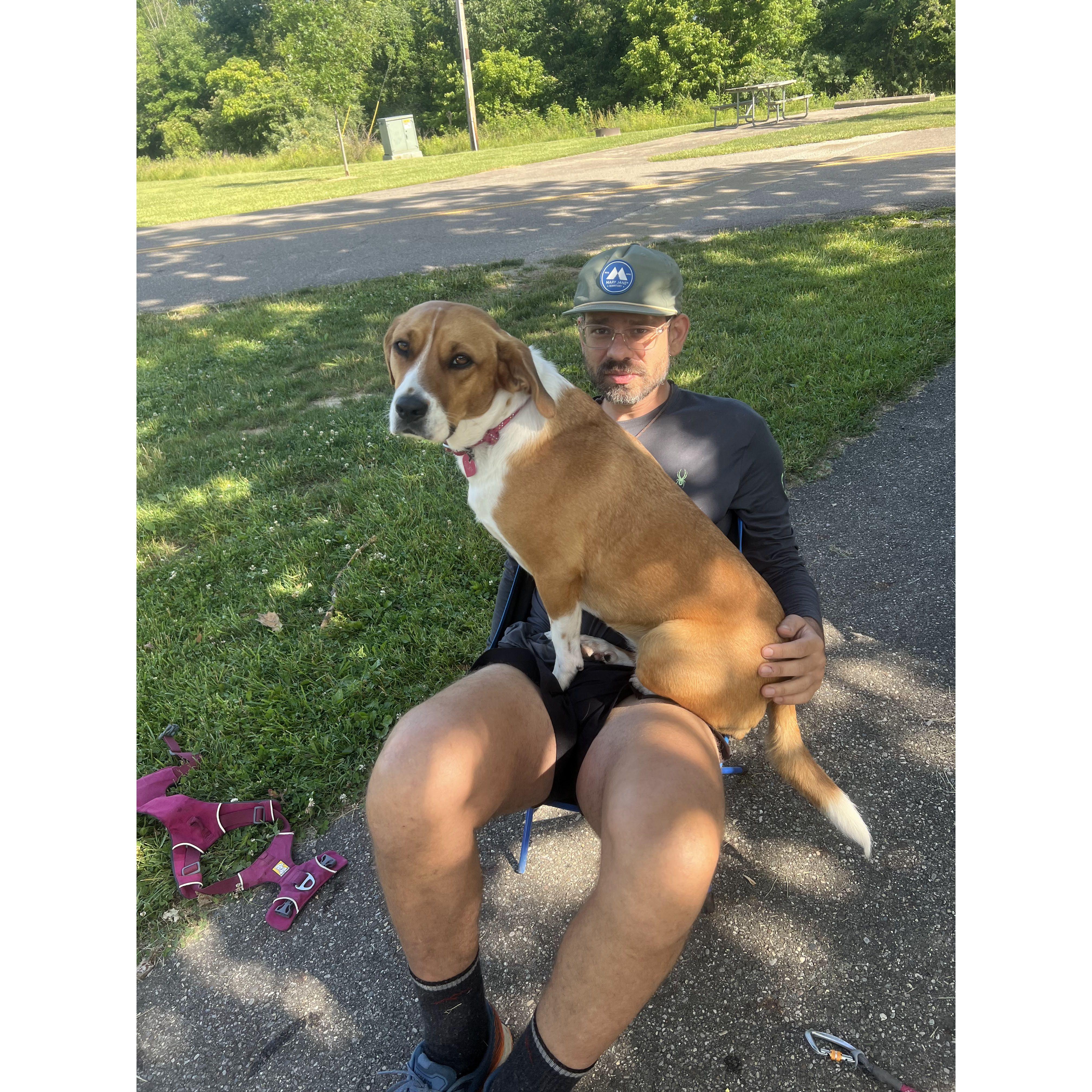 Camping with the pups at Dillon State Park in Ohio!
