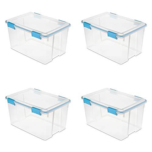 Isaac Jacobs 2-Pack Large Clear Storage Bins (13.5 x 10 x 6) w/ Handles, Plastic Box Set, Home, Office, Fridge, Freezer, Kitchen, Pantry Organization