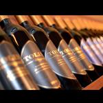 Tolino Vineyards Stroudsburg