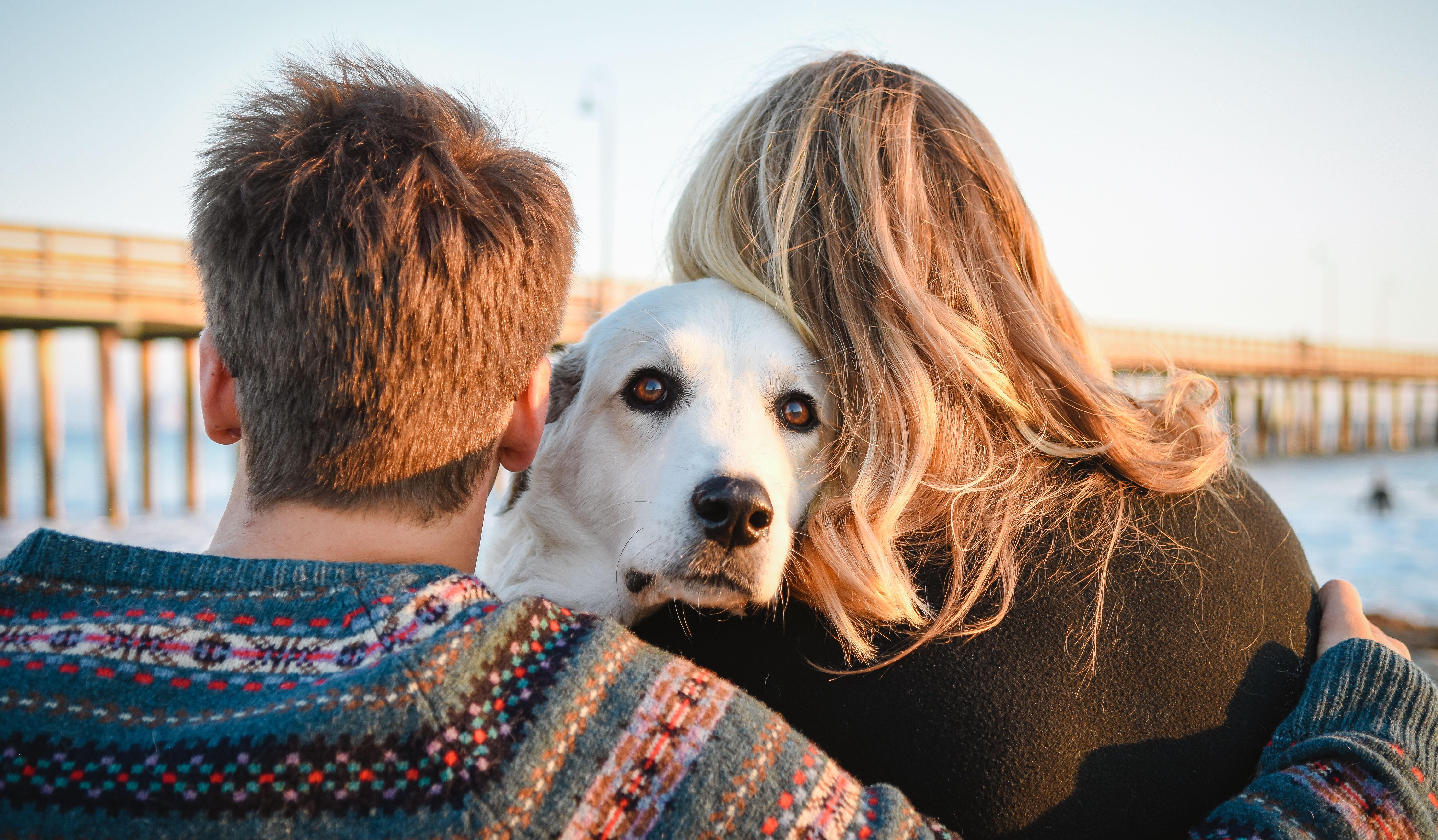 Hero Slideshow Image 4