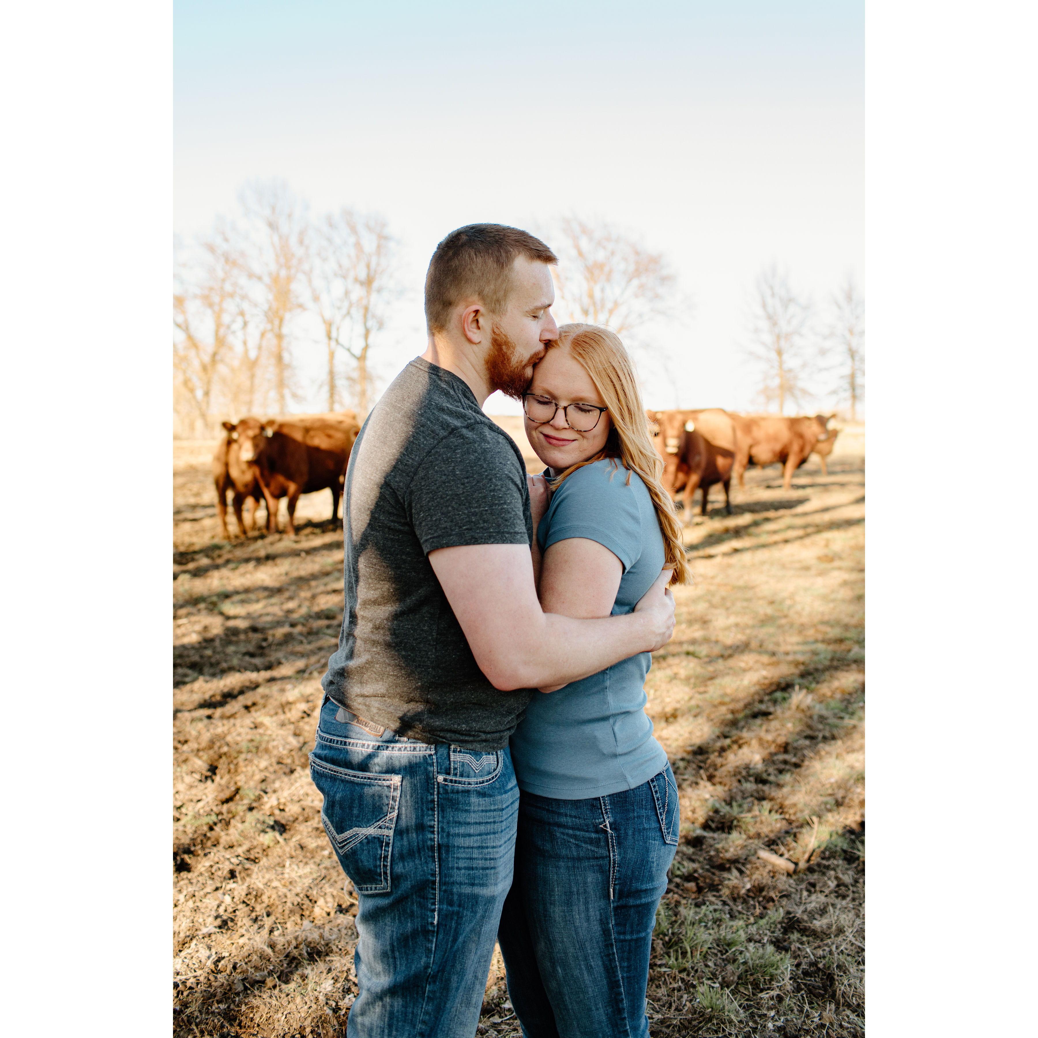 We met because of red angus, so it's only fitting that we took a picture with some red angus cows!