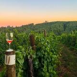 Willamette Valley Wineries
