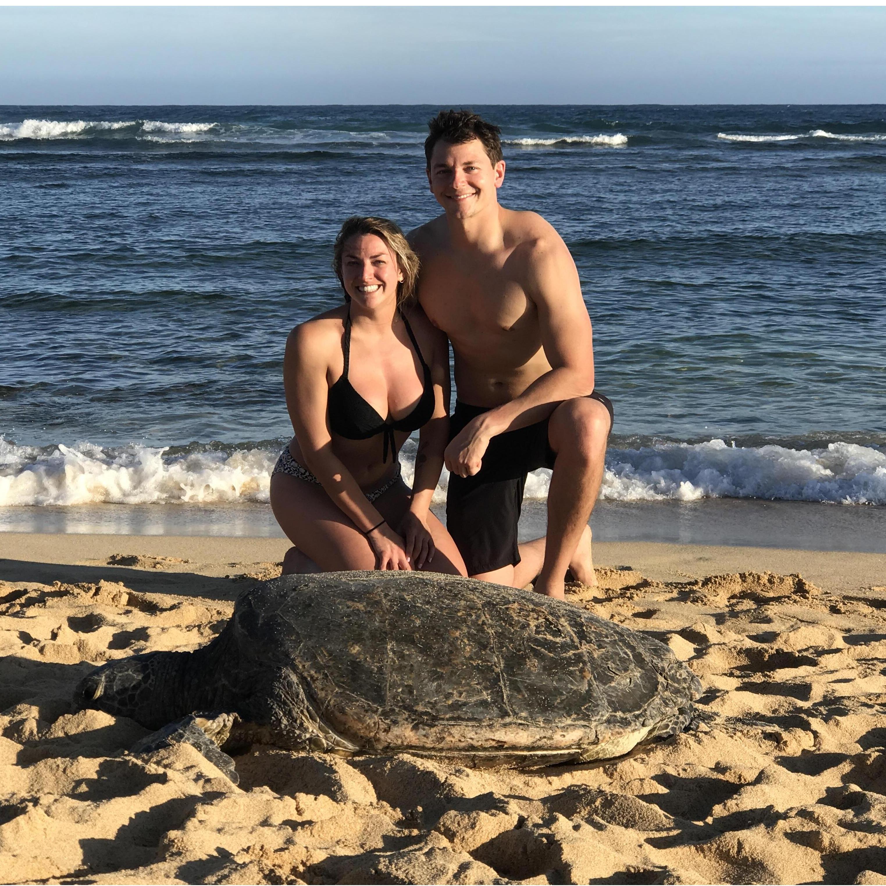 Hawaiian island #2: Kauai - hangin' with turtles!