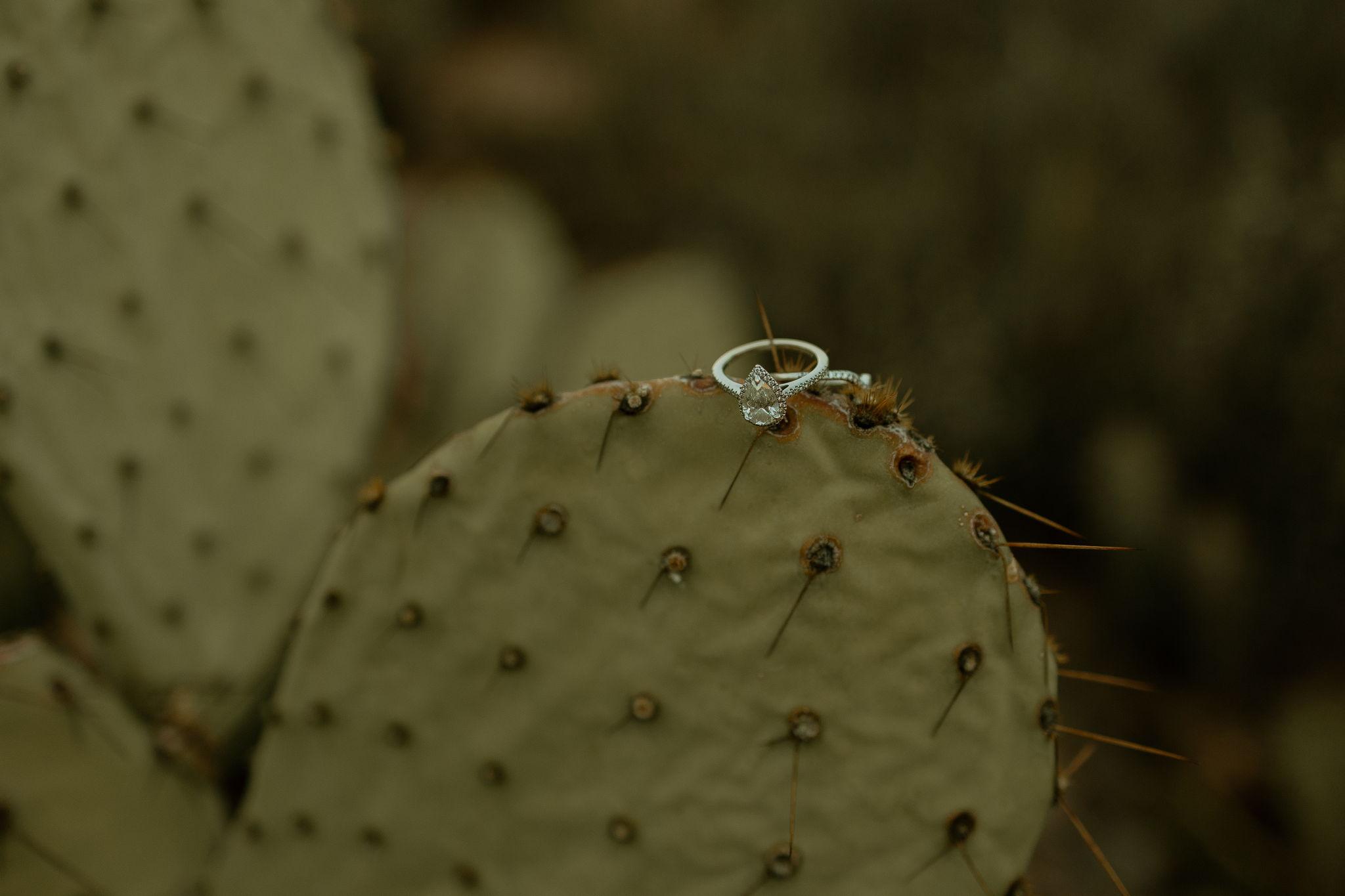 The Wedding Website of Celena Sanchez and Travis Raymer