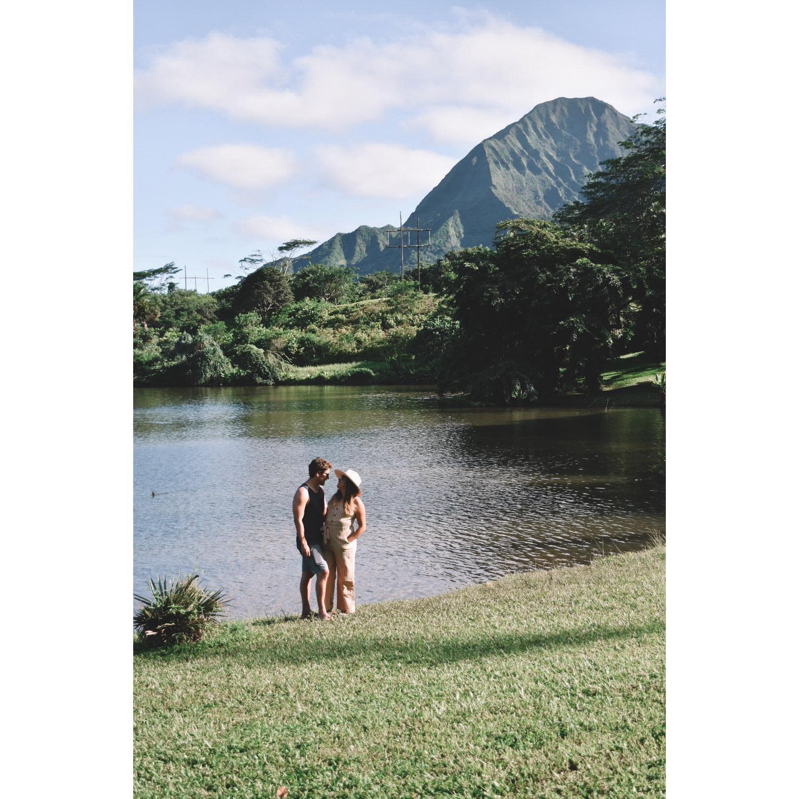 Hawaii adventure