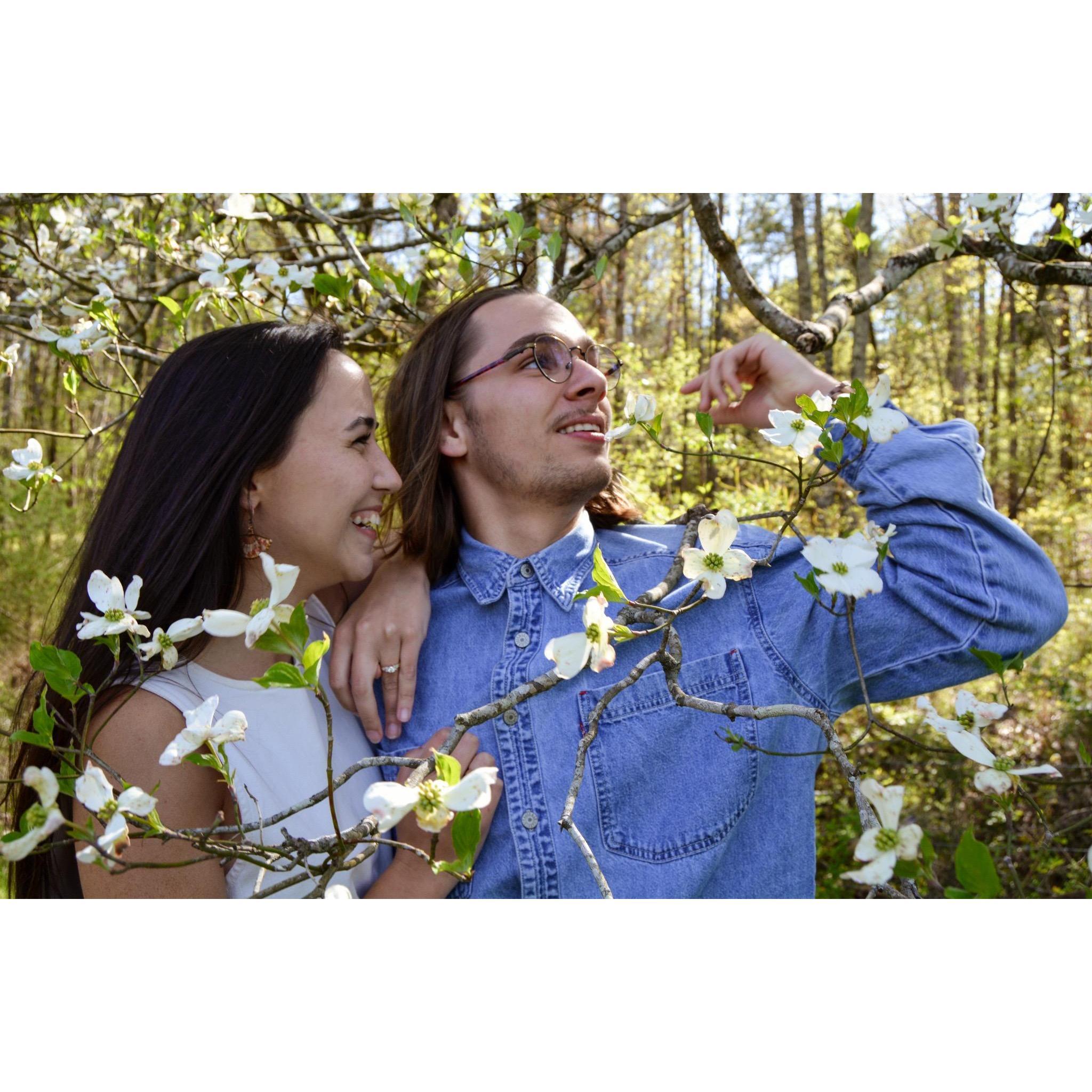 Micah spotted this dogwood when we were taking pictures, and he was so excited. He loves trees