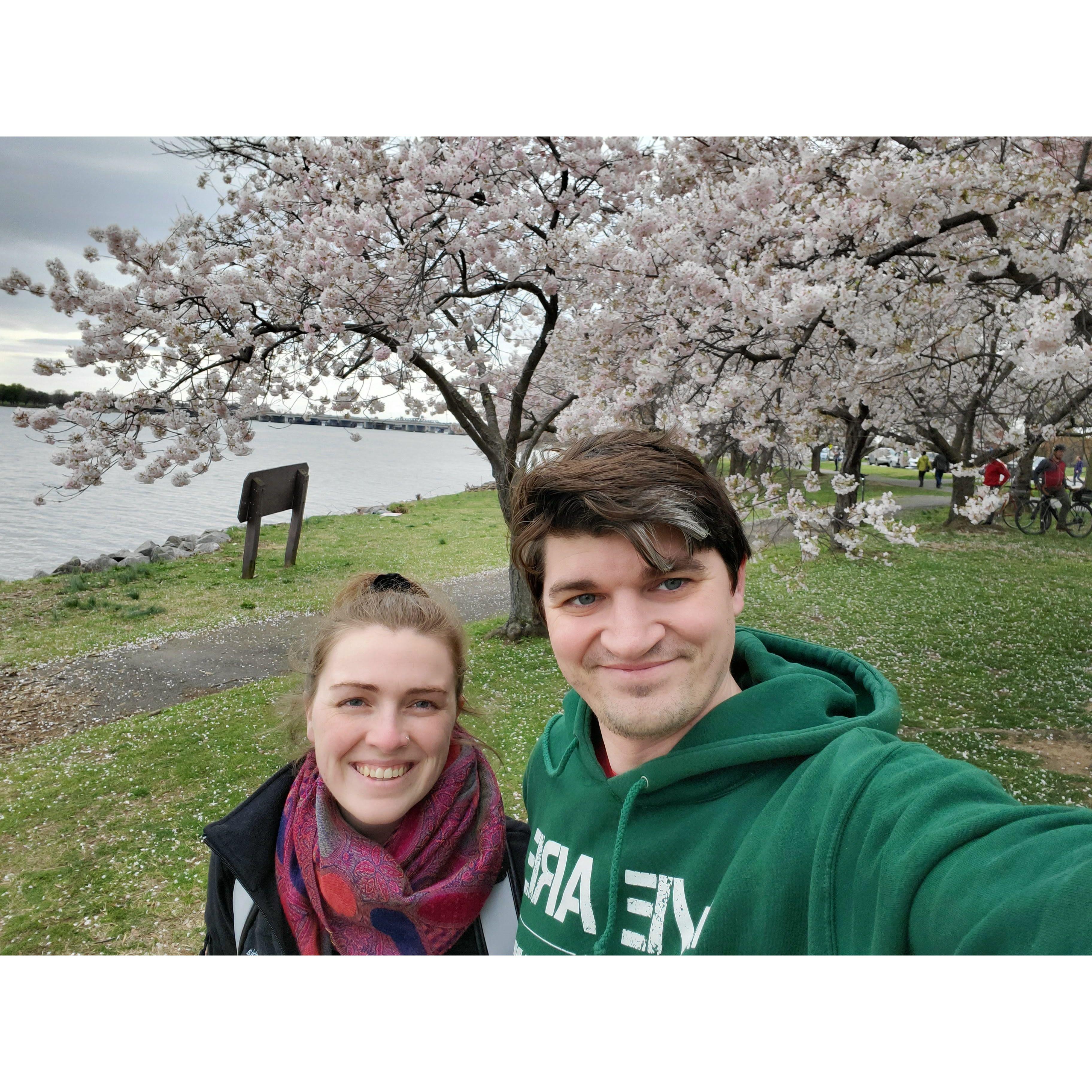 Social distancing and taking in the cherry blossoms in March 2020.