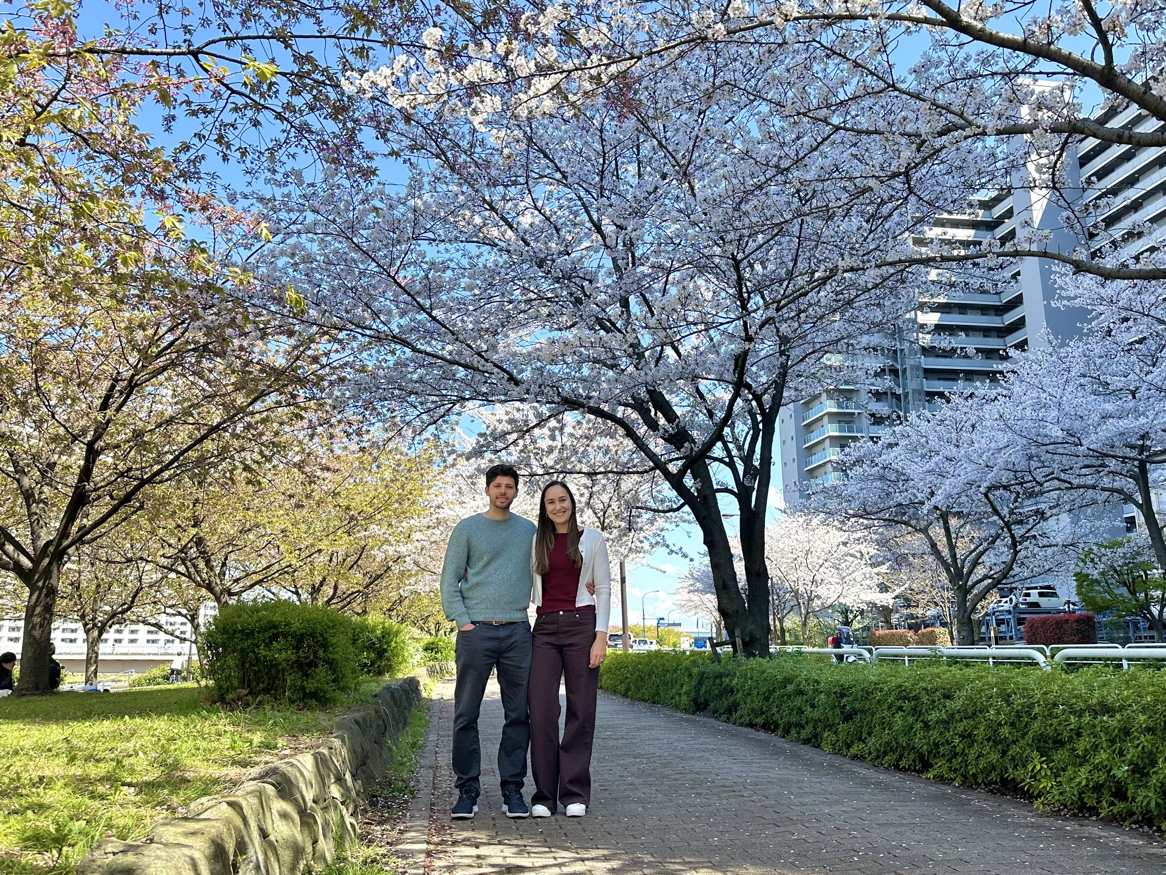 8ca24ef0-e161-418e-967c-0735931e2827