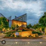 Aquarium Hummingbird and Butterfly Garden